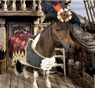 A miniature horse dressed up as a pirate.
