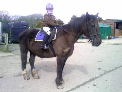 A girl riding a black horse who has two white pasterns on its back legs and a white star. The horse is wearing english tack and a purple saddle pad. The riding is wearing english riding apparel. They are standing on concrete with a barn in the background.