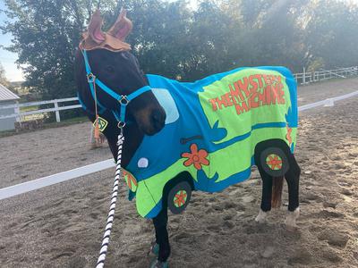 horse halloween costume mystery inc