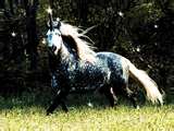 this is him!