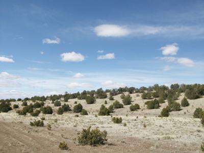 Nyn Acres
