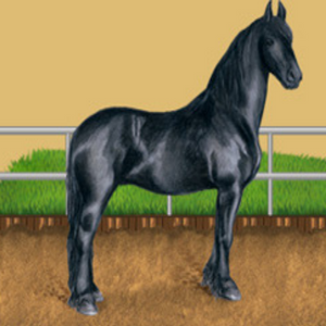 A graphic from the game Horzer. It shows a black Friesian standing on dirt. There is a white fence and green shrubs in the background. The sky is a yellow/orange color.