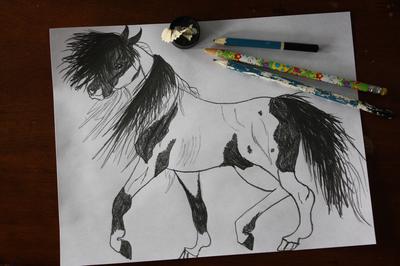 Paint Indian Horse 3/30/16