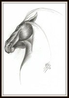 A pencil horse head drawing with an abstract look.