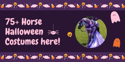 banner says 60+ horse and rider Halloween costumes