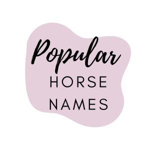 Graphic that says popular horse names.