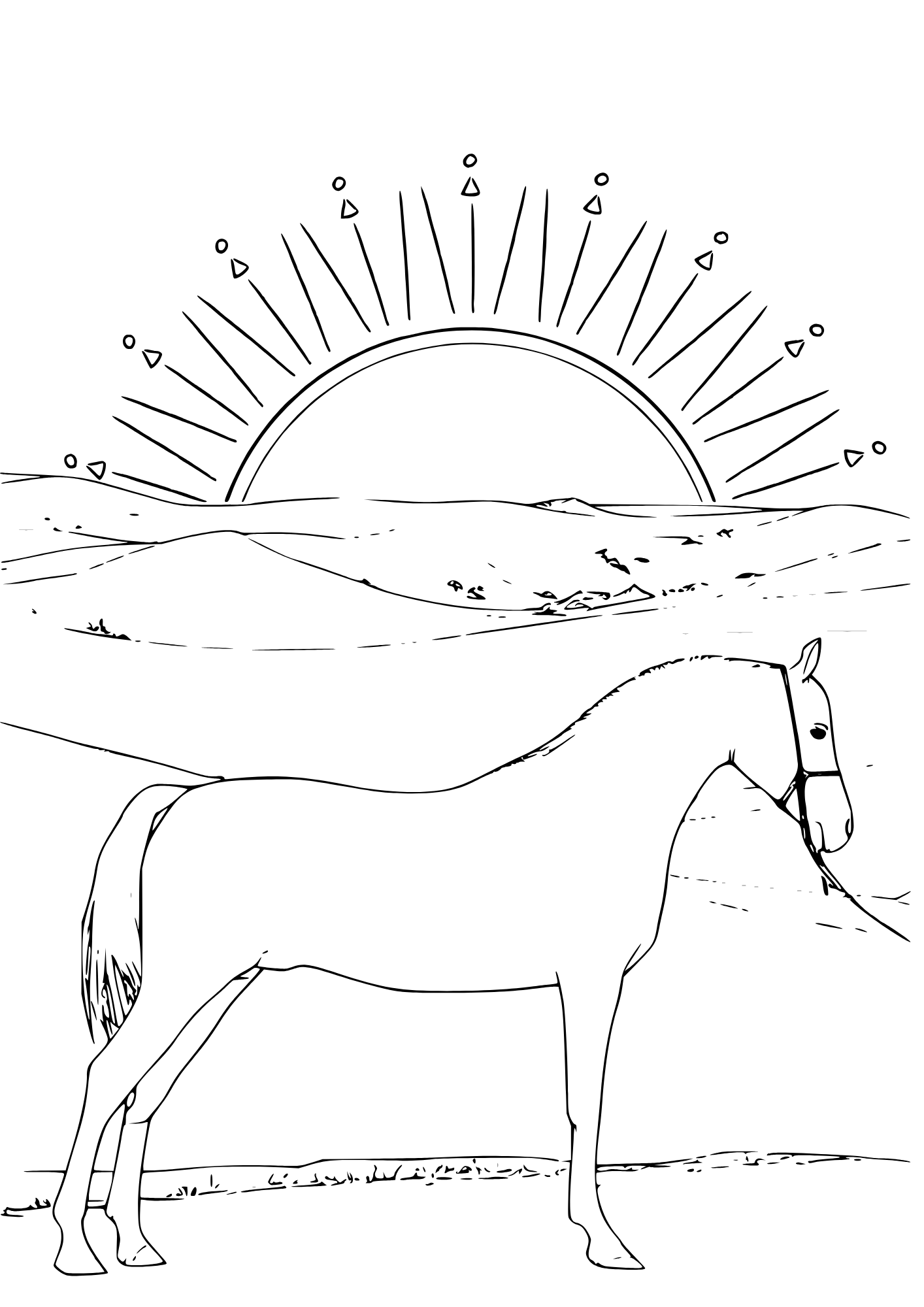 A horse coloring page of a horse in the desert at sunrise