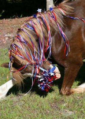 Puddleby the real-life pony bowing. He is a chestnut pony with a white stocking on his right front leg which is out in front of him. His left front leg is tucked under and his head is almost touching the ground. He has Fourth of July themed ribbon tied in his mane and there is Fourth of July streamer decorations on his halter.