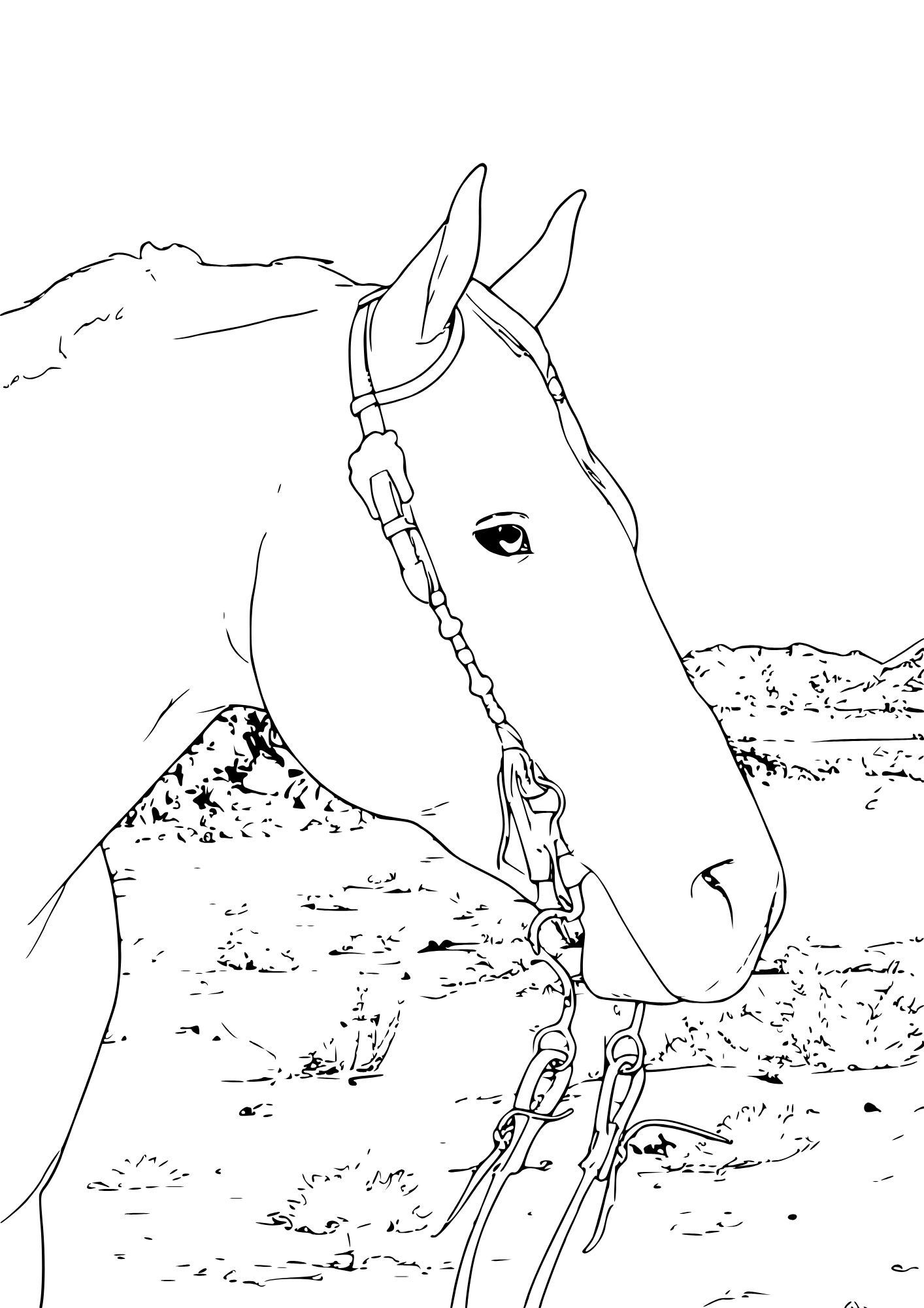 western horse in desert coloring page