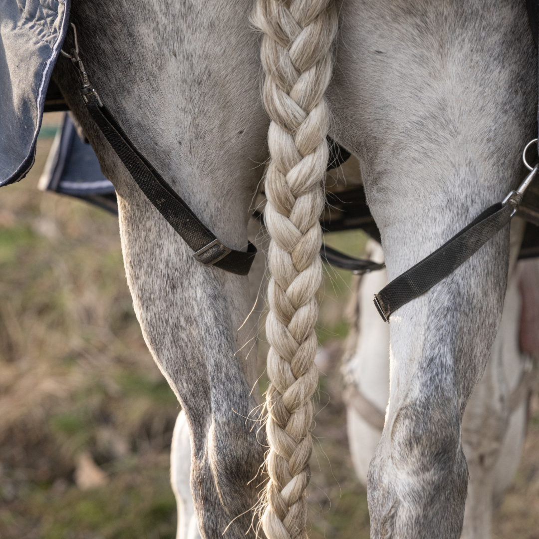 regular horse tail braid