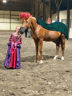 horse halloween costume sanderson sisters