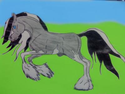 A drawing of a grey and white horse with a blue eye and a black and white mane and tail. The horse is cantering through a field.
