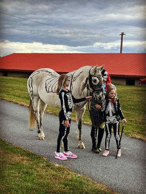 Skeletons in my backyard 