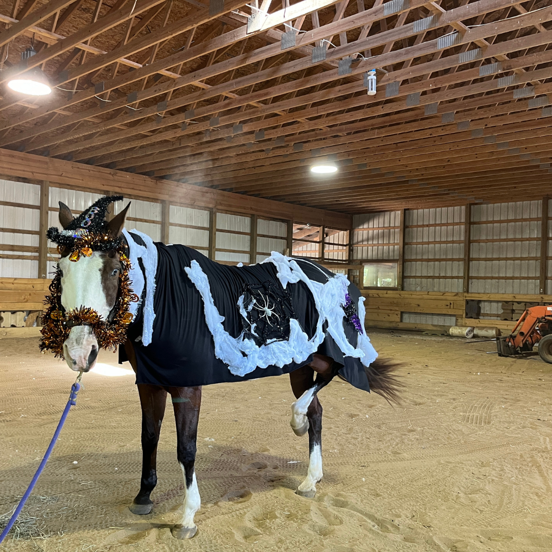 A horse dressed in a Halloween theme costume