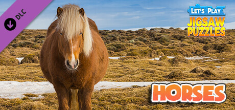 Cover of Steam horse game called Let's Play Jigsaw Puzzles: Horses