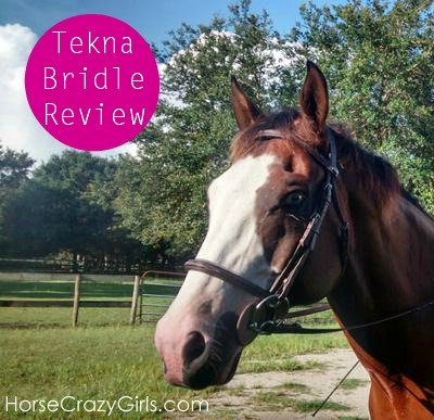 Tekna bridle review