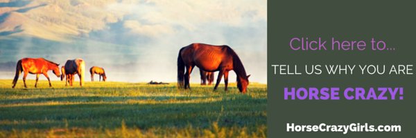 A picture of horses grazing with the text click here to tell us why you are horse crazy.