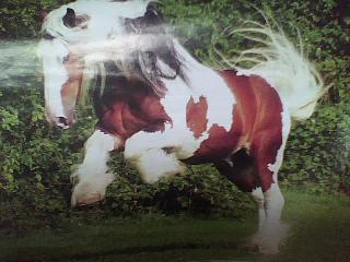 Moonie! (well what he would look like)