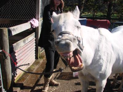 hahaha lol arabella greenley is not very posh!