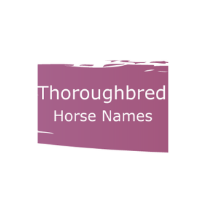 Graphic that says Thoroughbred horse names.