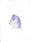 Purple Anime Horse