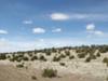 Nyn Acres