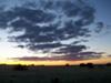 Nyn Acres
