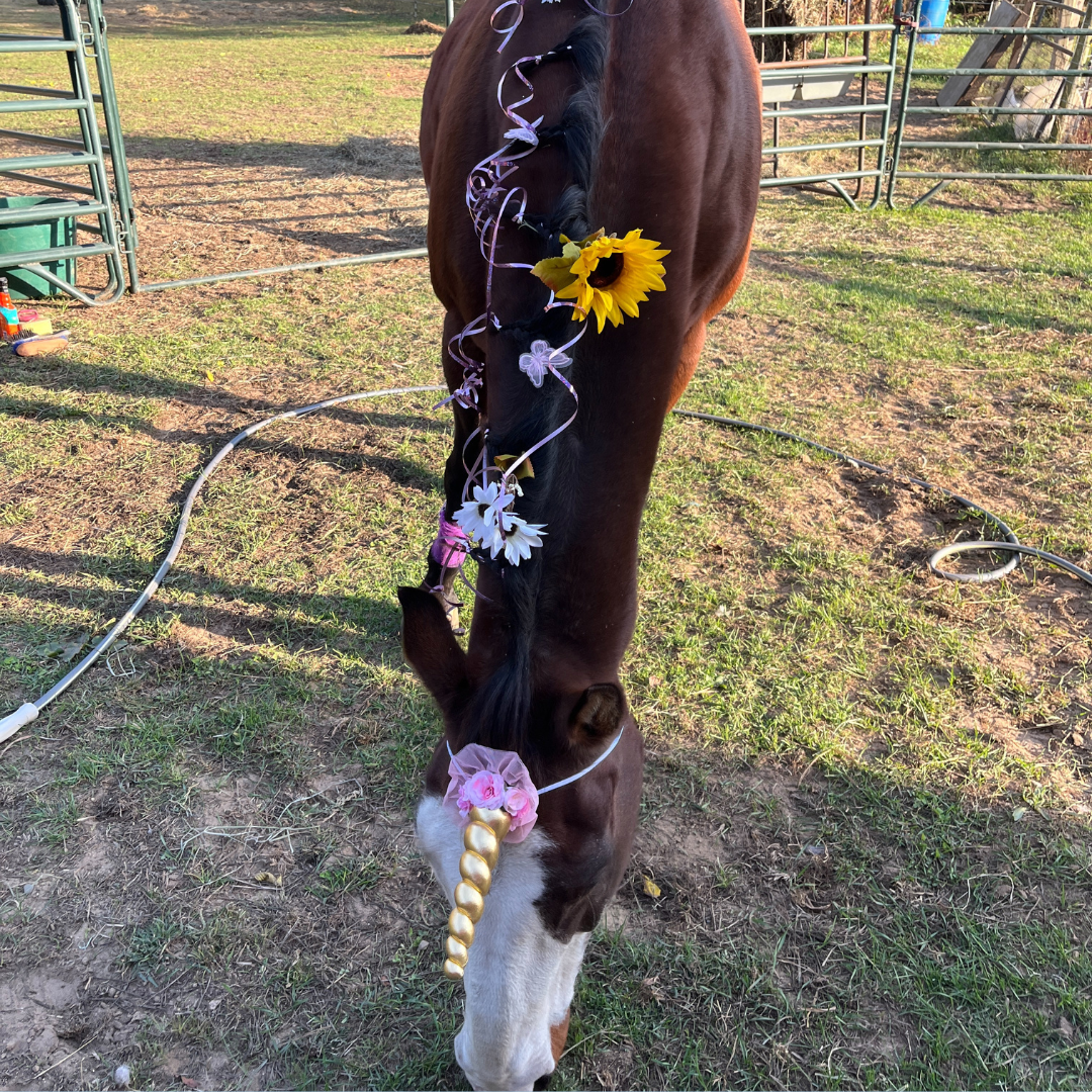 A horse dressed in a unicorn costume