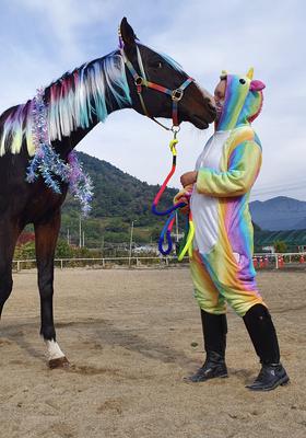 horse halloween costume unicorn twins