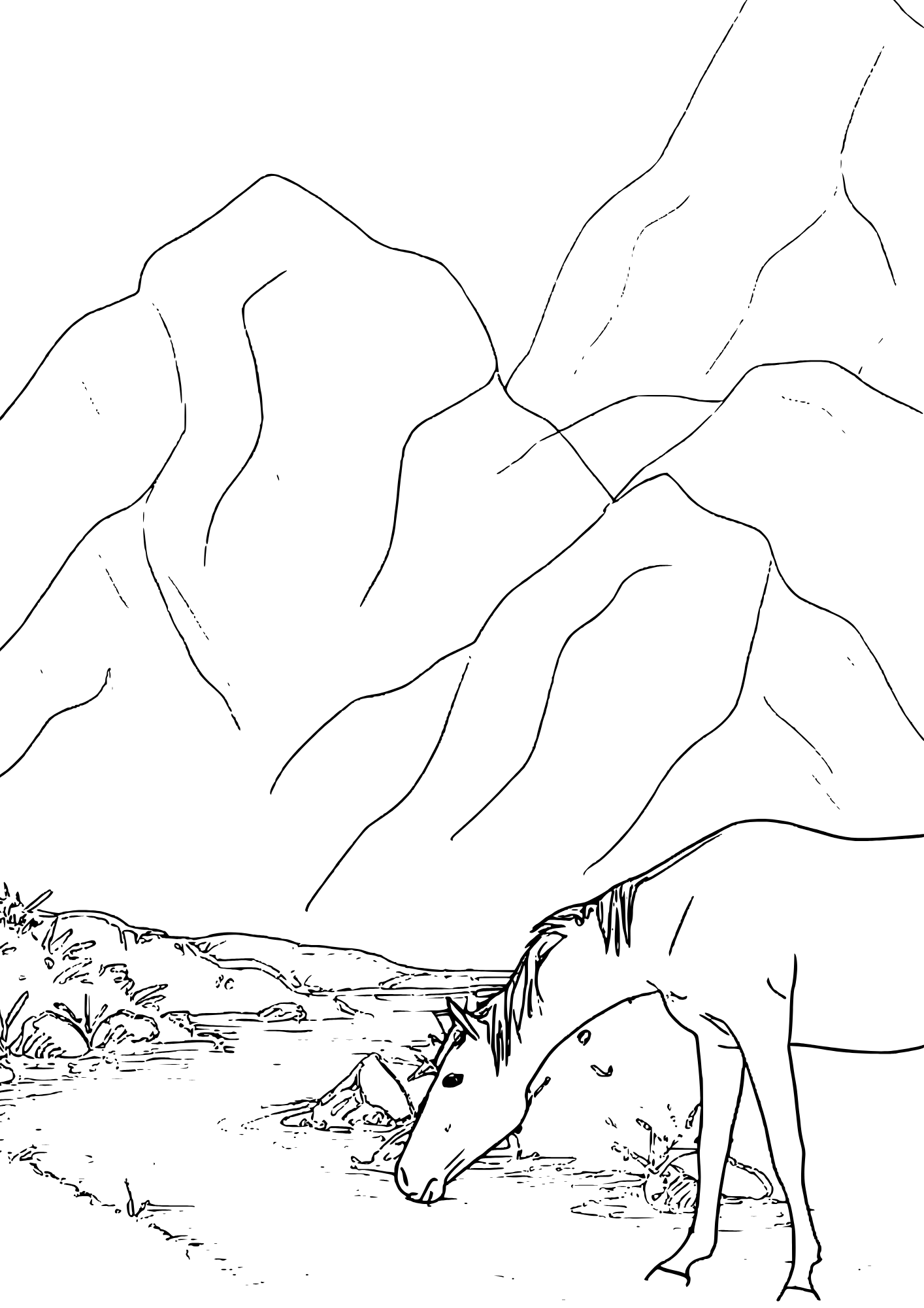 Wild horse drinking from a stream or river free coloring page
