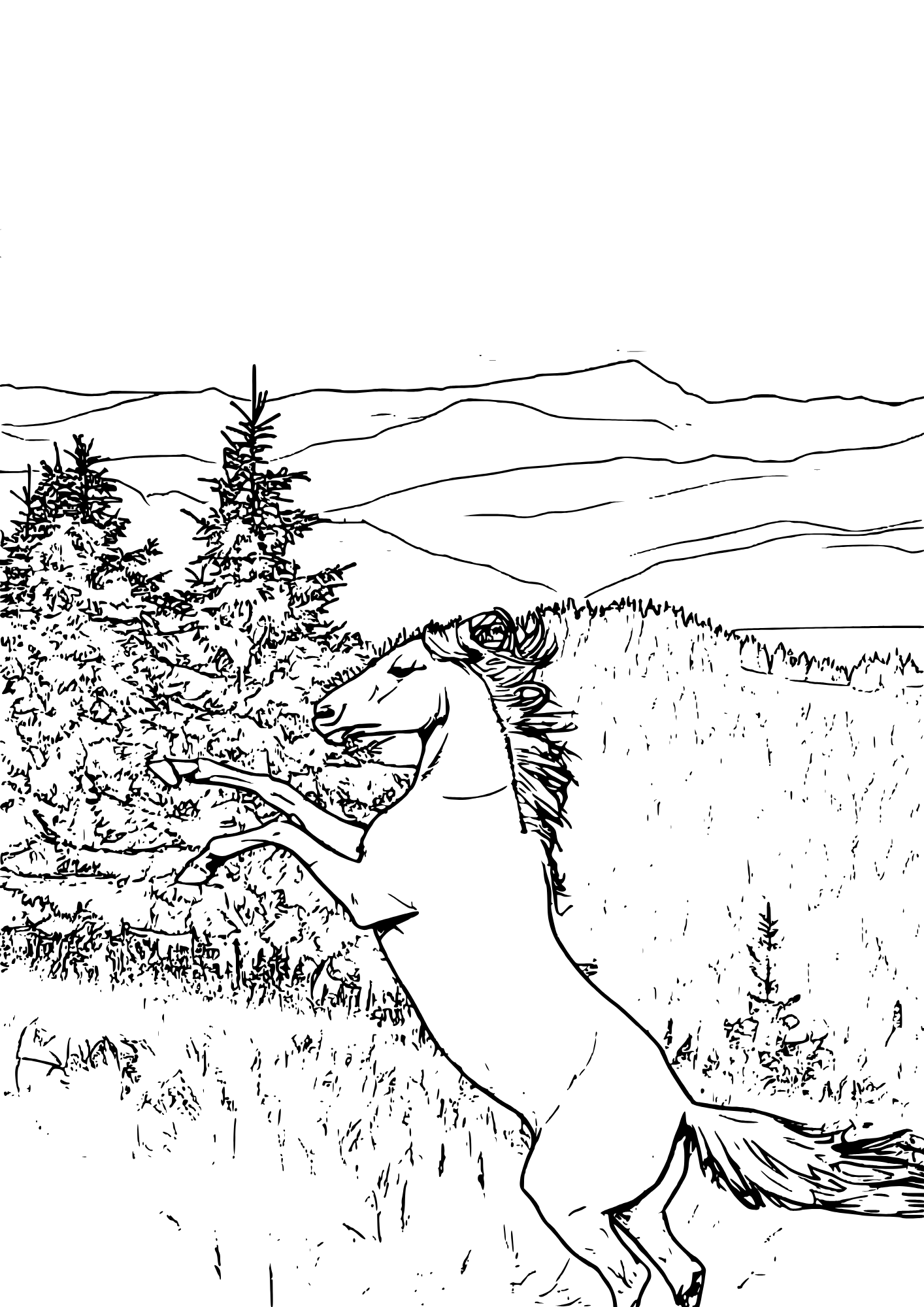 Wild horse rearing up powerfully free coloring page