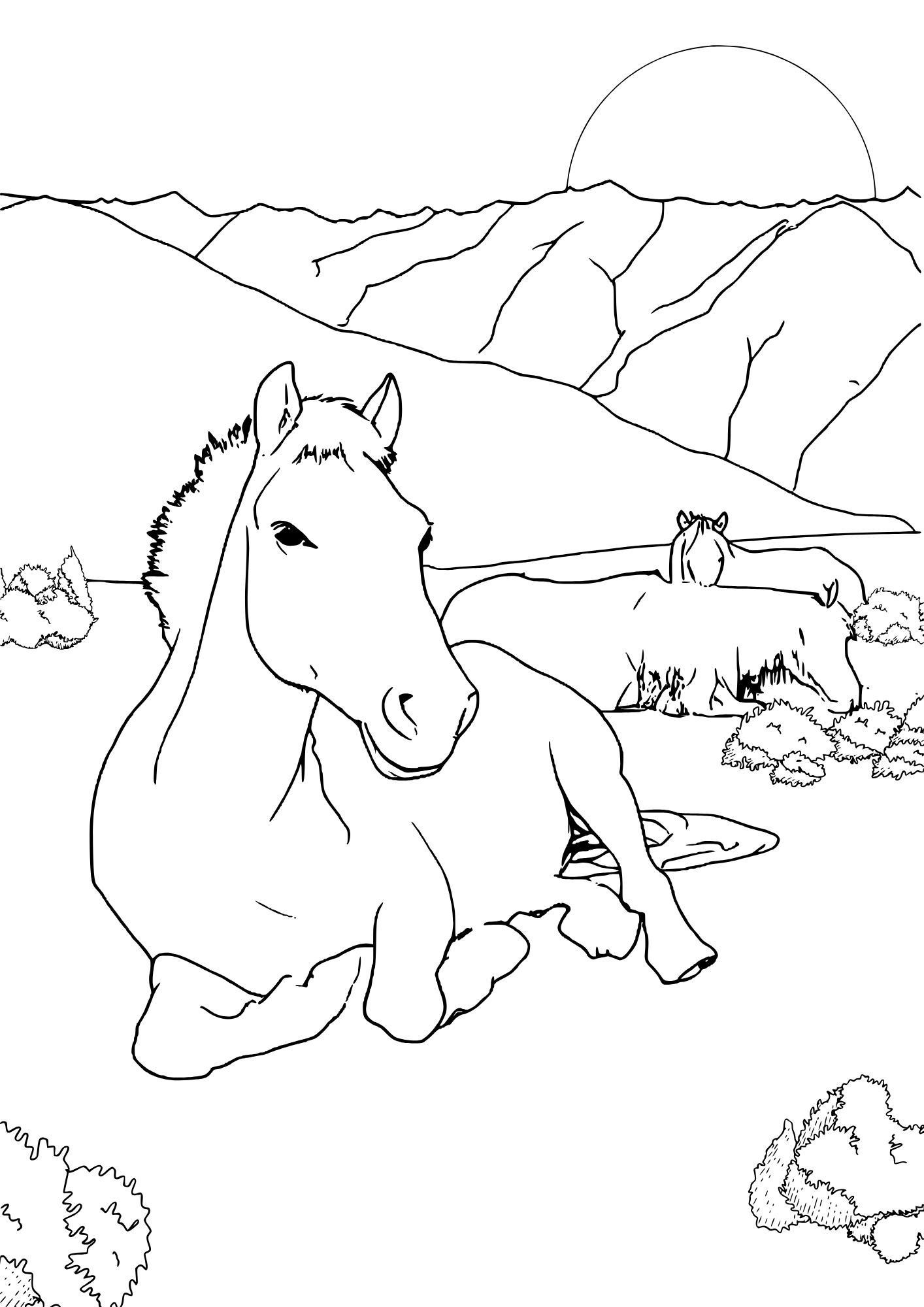Wild horse herd standing together at sunrise free coloring page