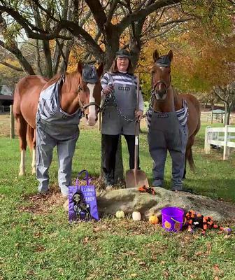 A woman standing with two horses. The woman is dressed in a black and striped shirt with overalls on and a hat. The horses are both dressed in overalls with hats on.