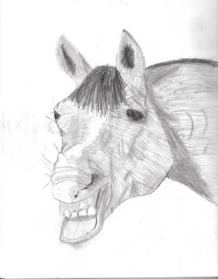 My yawning horse drawing