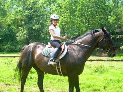 me and my horse black beauty