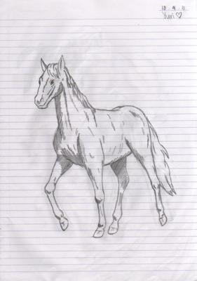 A pencil drawing of a horse walking.