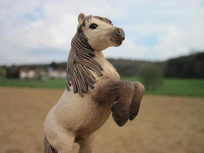 A Schleich toy stallion