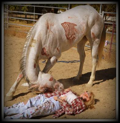 Cowgirl sales horse costume