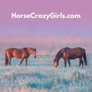 Our Club Pony Pals reviews page shares reviews and tips from horsecrazy girls just like you. Find more fun horse games here too!